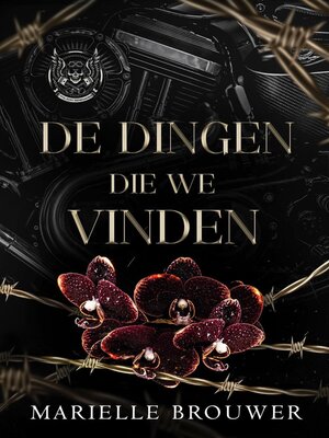 cover image of De dingen die we vinden